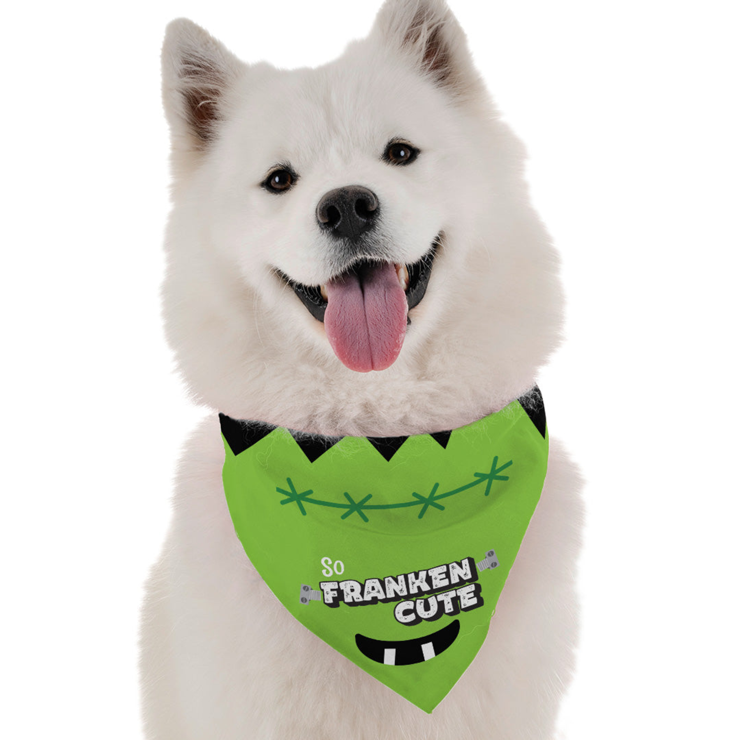 Bandoggies So Franken Cute Dog Bandanas