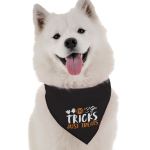 Bandoggies Dog Bandanas