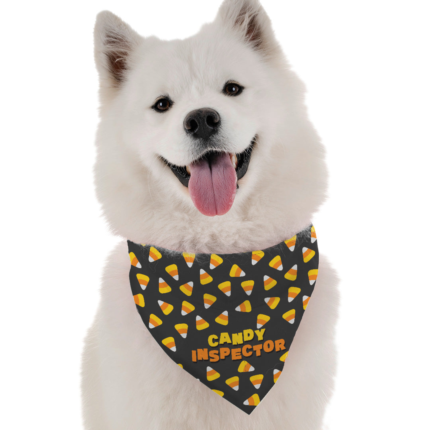 Bandoggies Candy Inspector Dog Bandanas