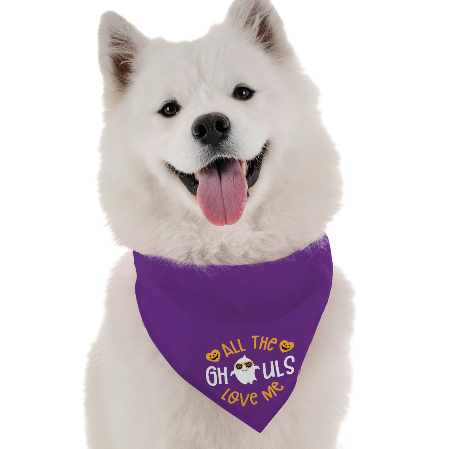 Bandoggies All the Ghouls Love Me Dog Bandanas