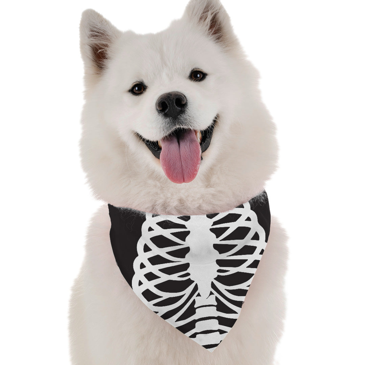 Bandoggies Skeleton Costume Dog Bandanas