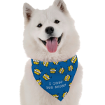 Bandoggies Dog Bandanas