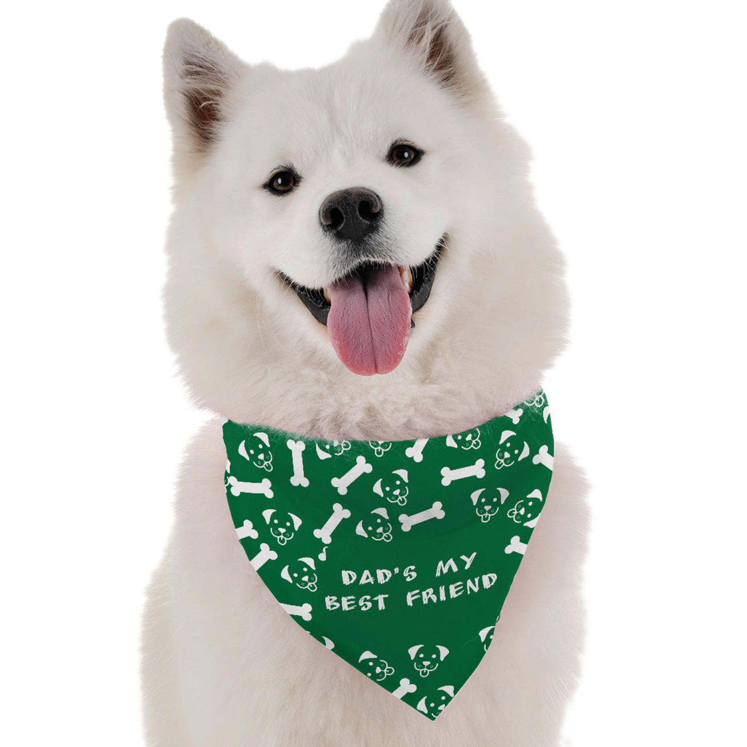Bandoggies Dad's My Best Friend Dog Bandanas