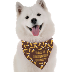 Bandoggies Dad's Drinking Buddy Dog Bandanas