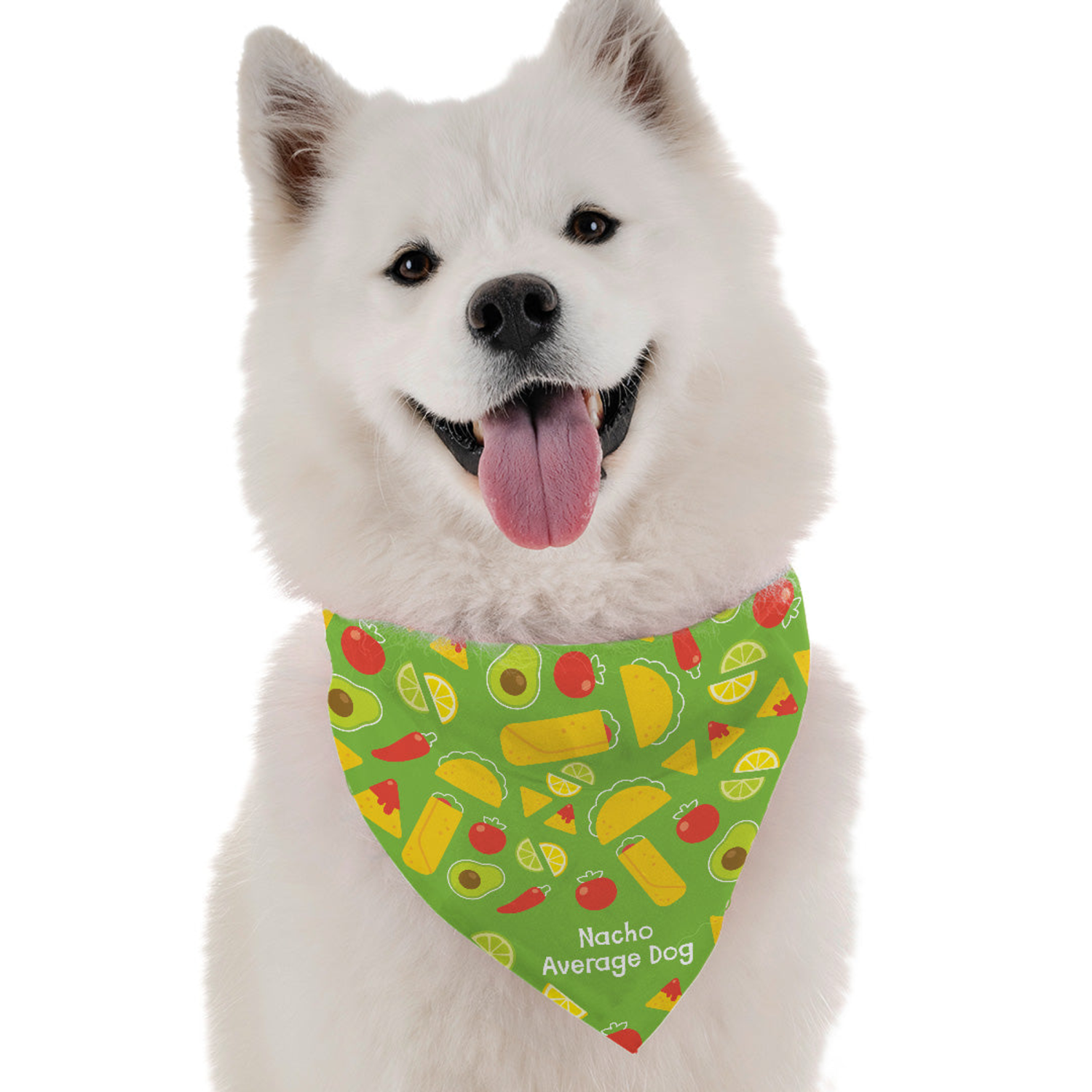 Bandoggies Nacho Average Dog Dog Bandanas