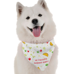 Bandoggies Dog Bandanas