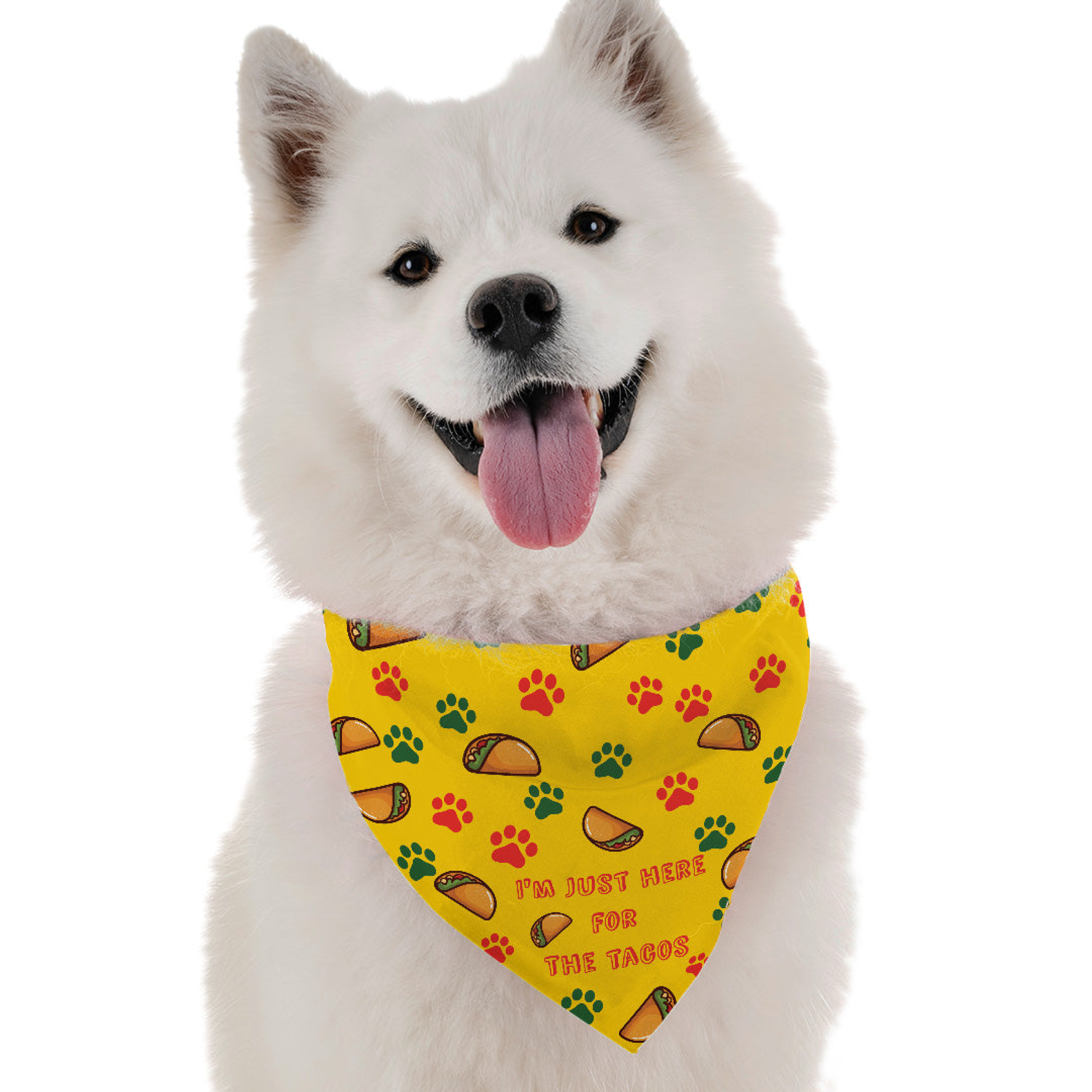 Bandoggies I'm Just Here for the Tacos Dog Bandanas
