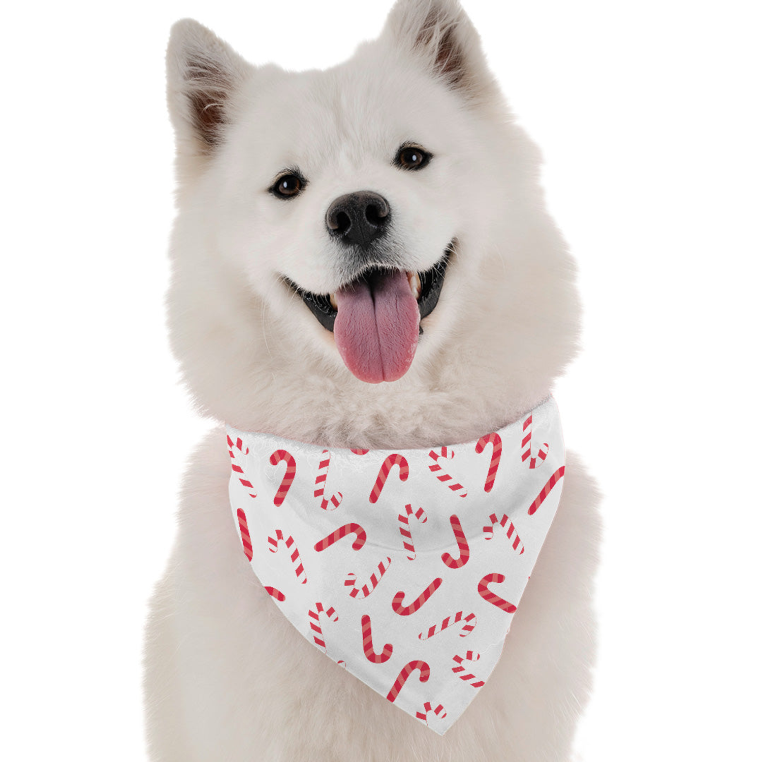 Bandoggies Candy Canes Dog Bandanas