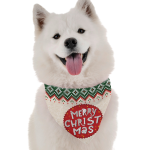 Bandoggies Dog Bandanas