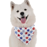 Bandoggies Dog Bandanas