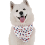 Bandoggies Dog Bandanas