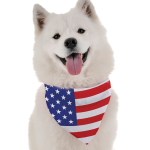 Bandoggies All American Dog Bandanas