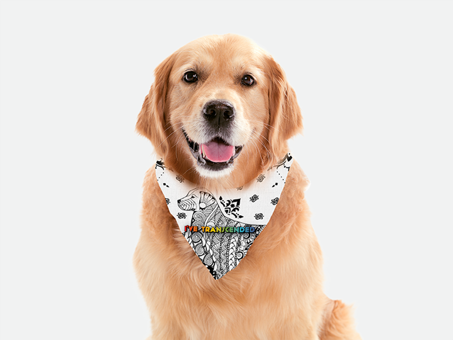 Bandoggies Elegance Dog Bandanas