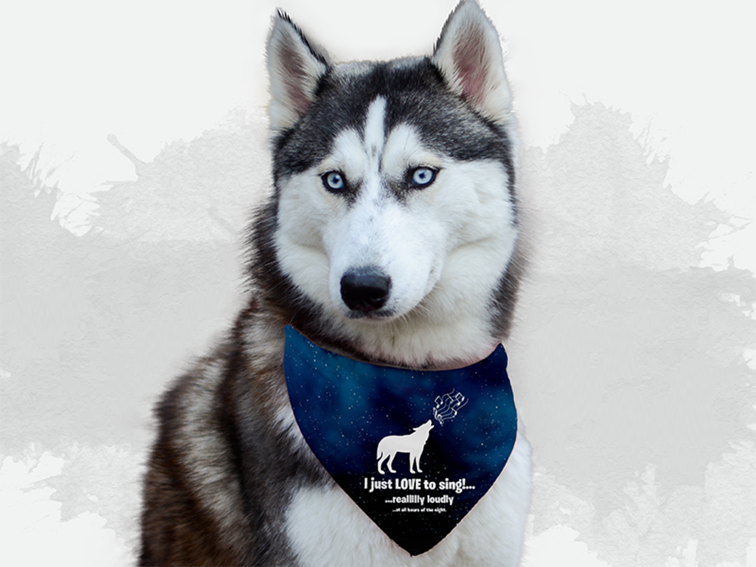 Bandoggies Derp! Dog Bandanas