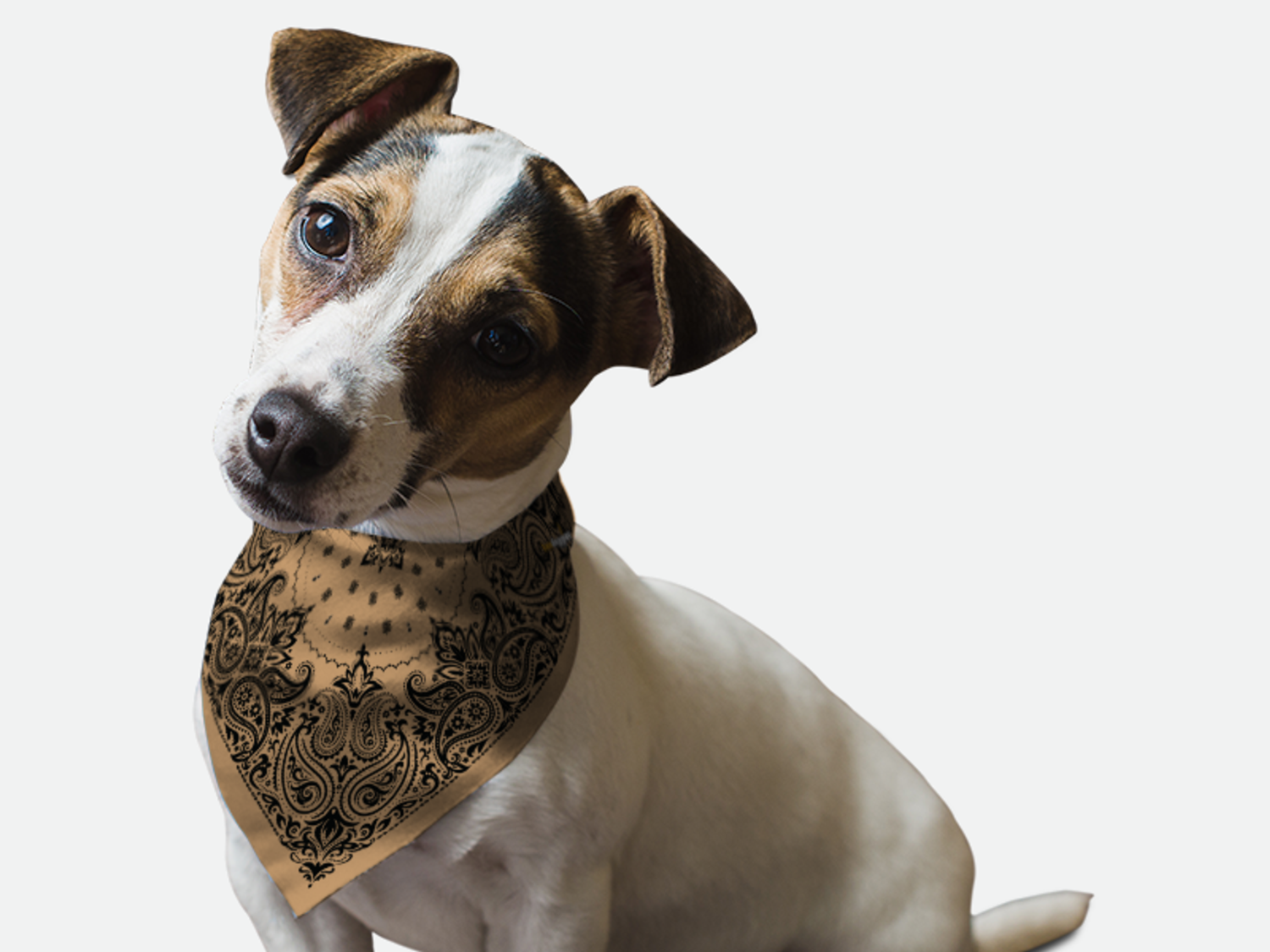 Bandoggies Sand Paisley Dog Bandanas