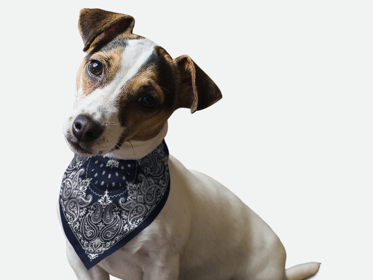 Bandoggies Navy Paisley Dog Bandanas