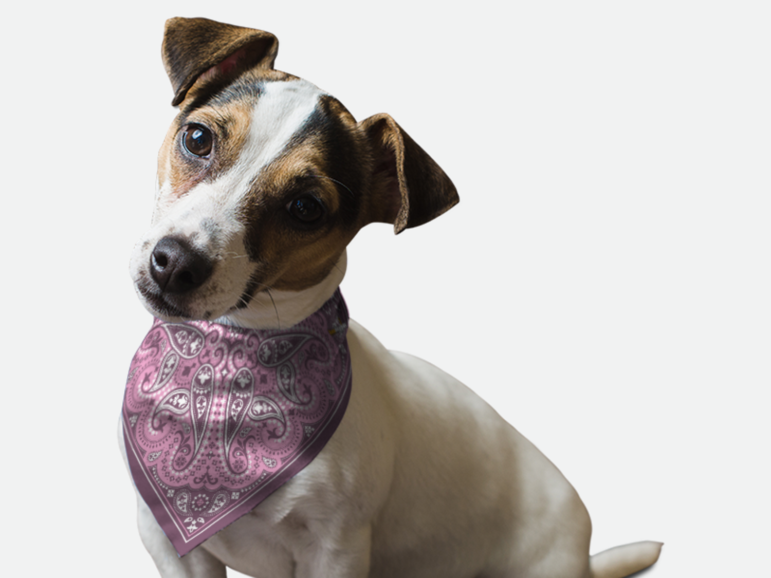 Bandoggies Lilac Paisley Dog Bandanas