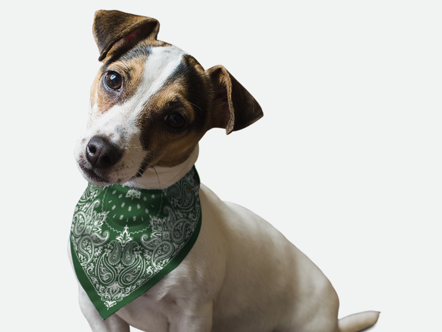 Bandoggies Hunter Green Paisley Dog Bandanas