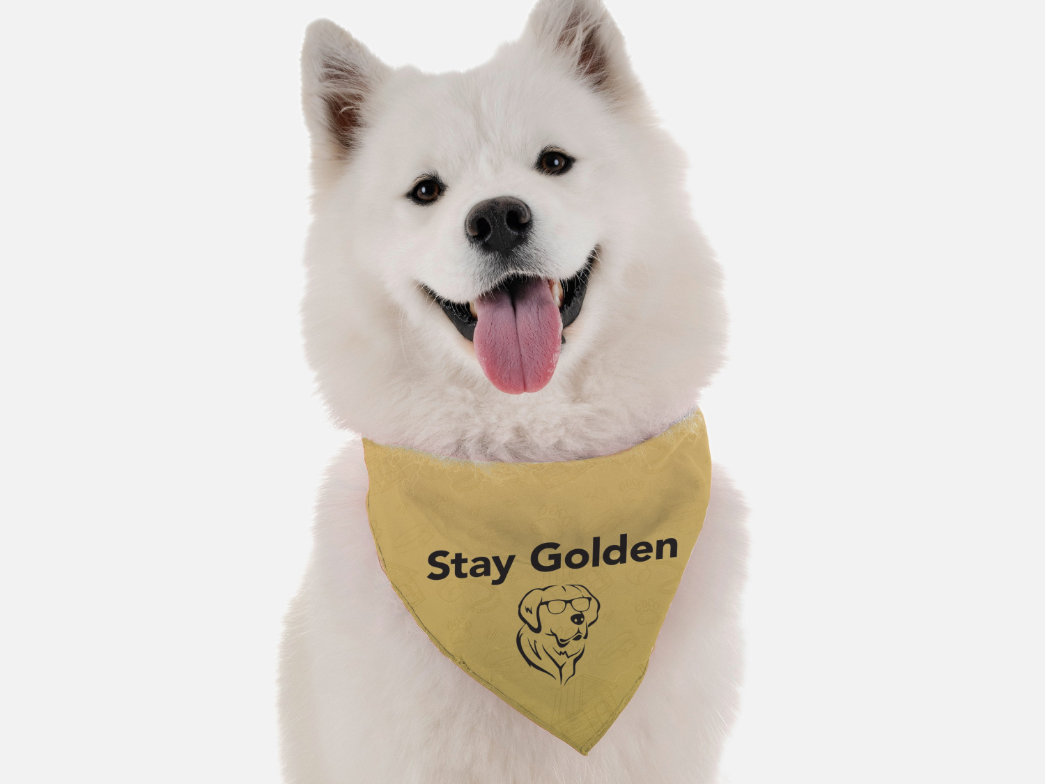 Bandoggies Stay Golden Dog Bandanas