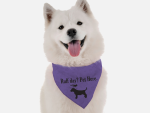 Bandoggies Dog Bandanas