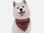 Bandoggies I'm a Lots'a Apso Dog Bandanas