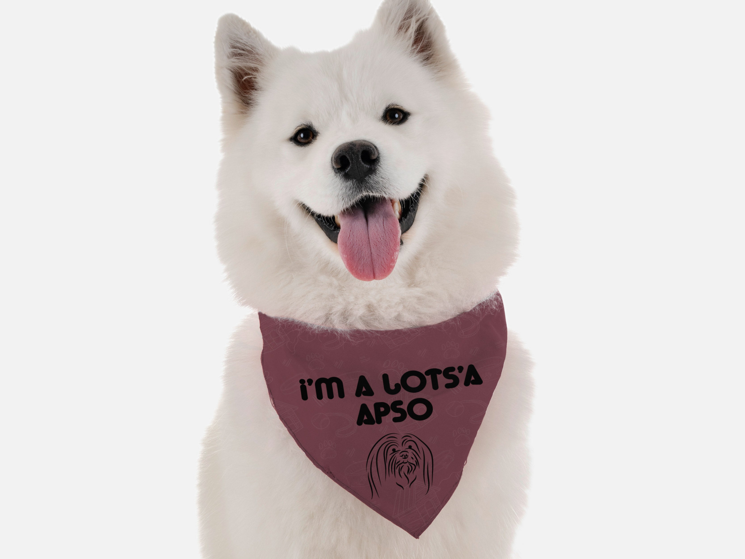 Bandoggies I'm a Lots'a Apso Dog Bandanas