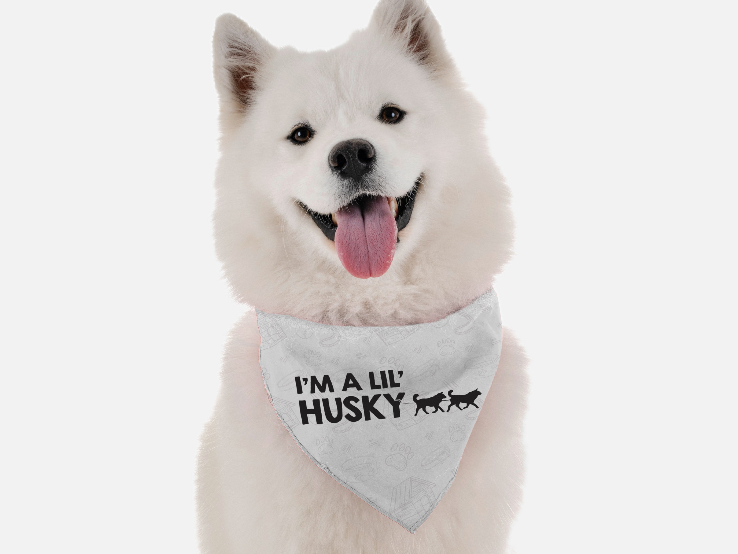 Bandoggies I'm a lil' Husky Dog Bandanas