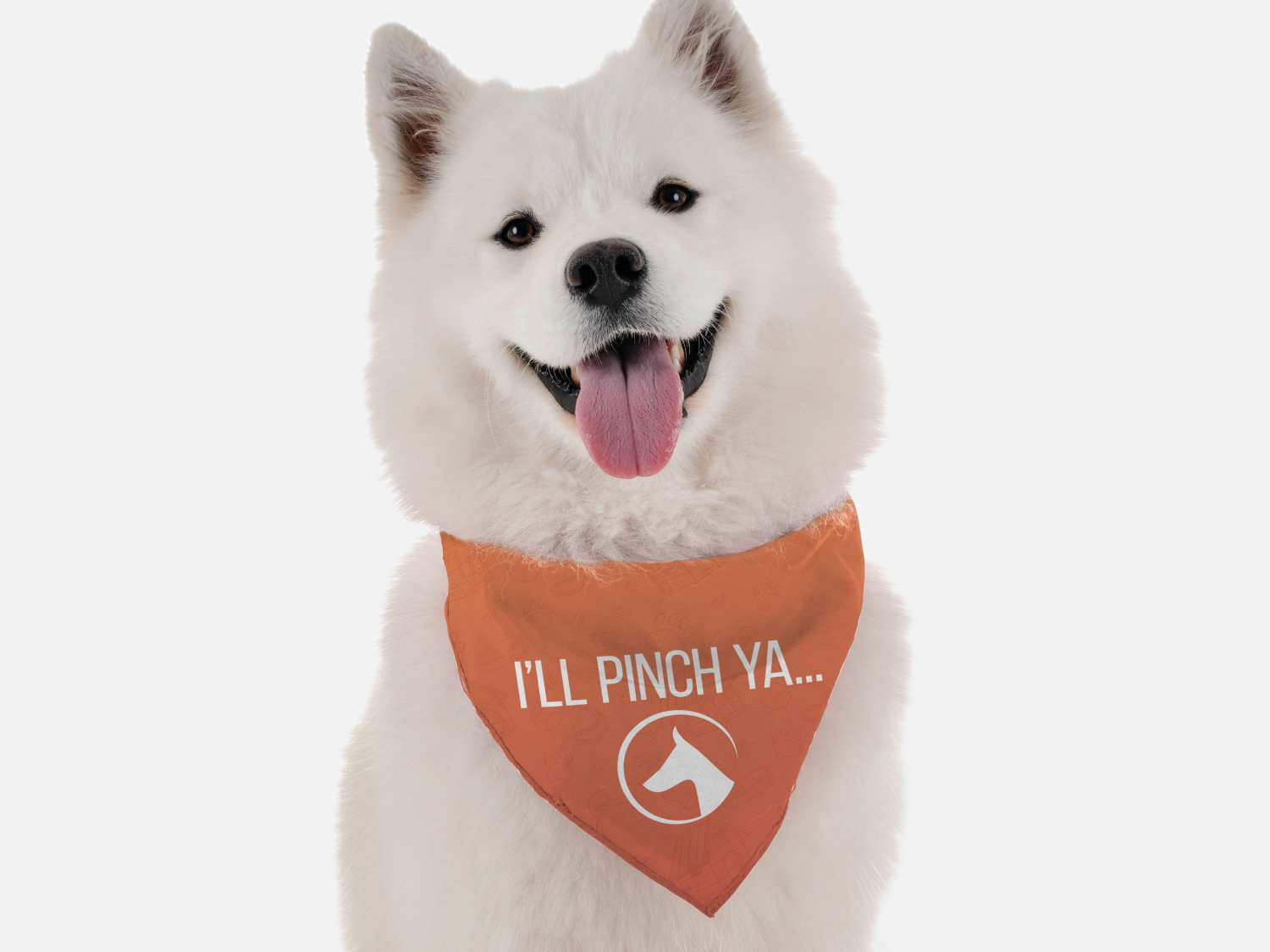 Bandoggies I'll Pinch Ya Dog Bandanas