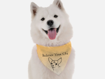Bandoggies Dog Bandanas