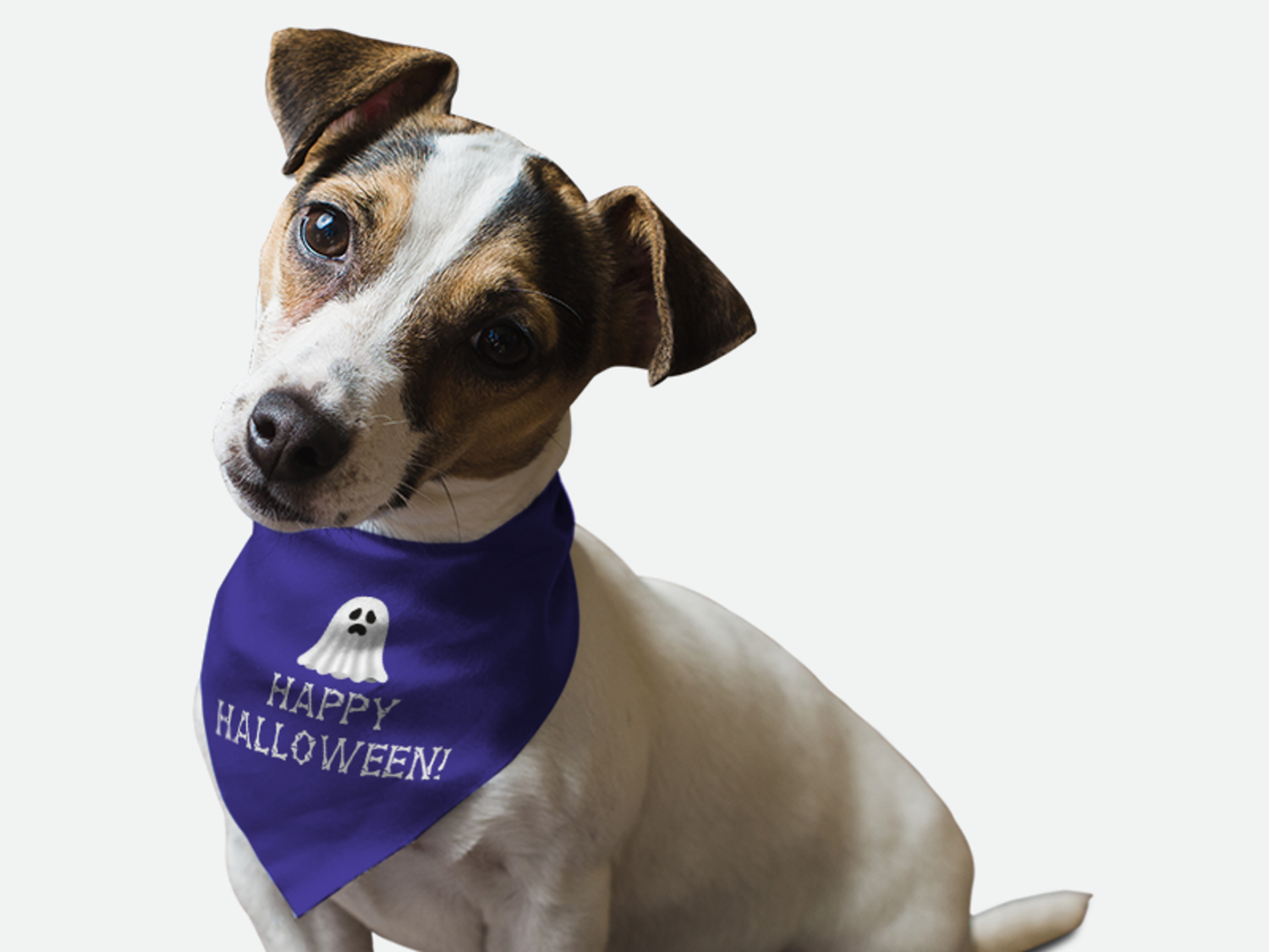 Bandoggies Happy Halloween! Dog Bandanas