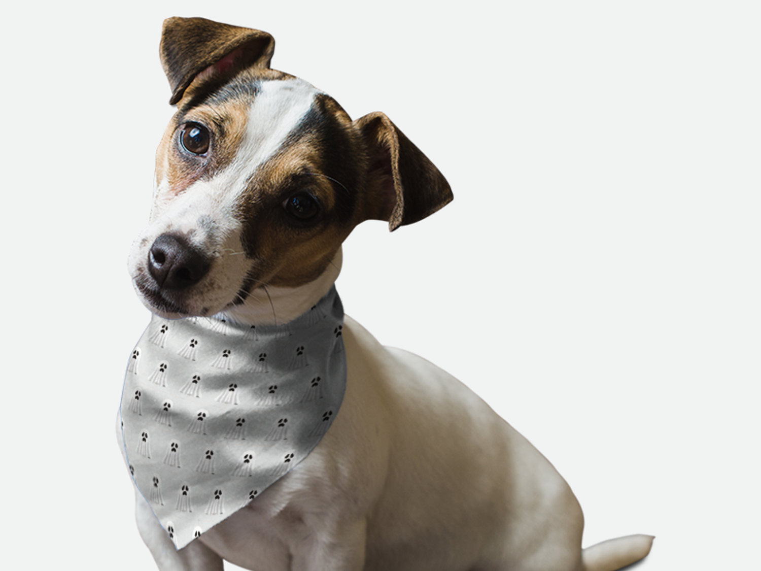 Bandoggies Ghosts Galore! Dog Bandanas