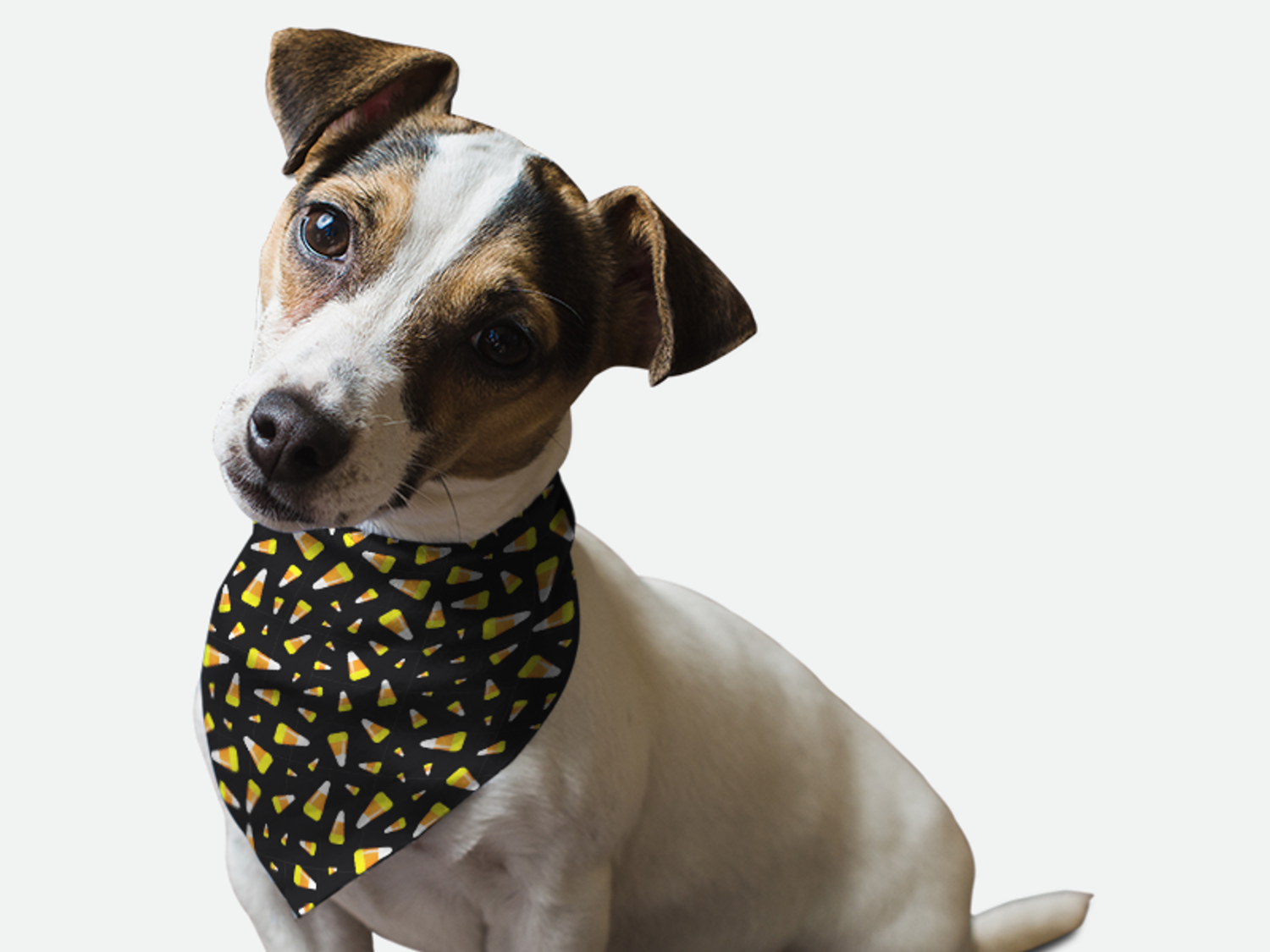 Bandoggies Candy Corn Dog Bandanas