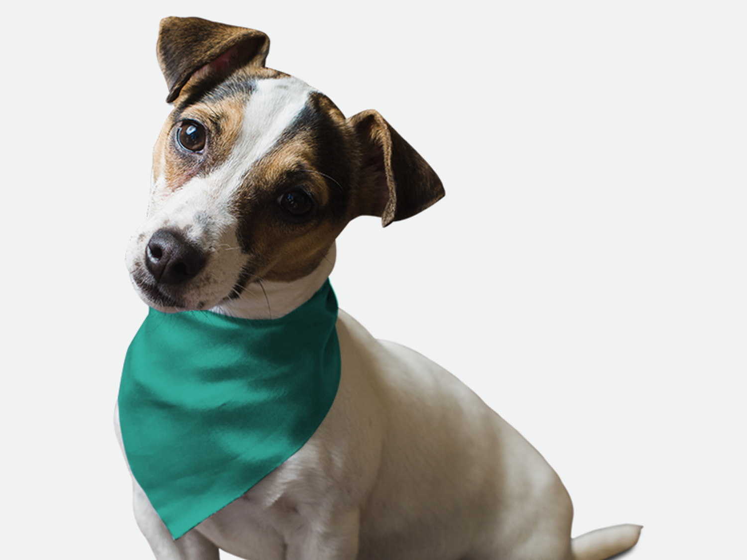 Bandoggies Seriously Sea Foam Dog Bandanas
