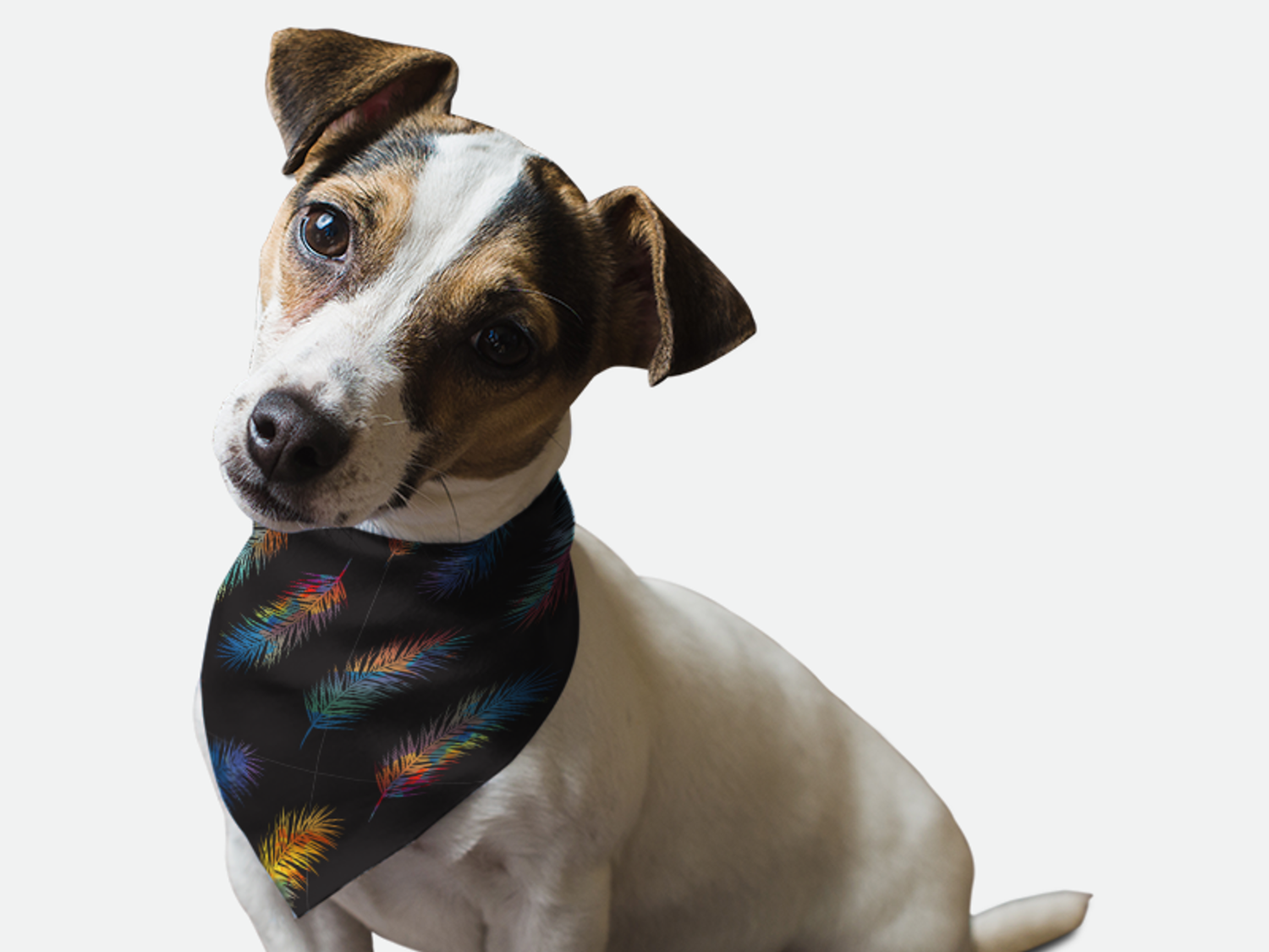 Bandoggies Fancy Feathers Dog Bandanas
