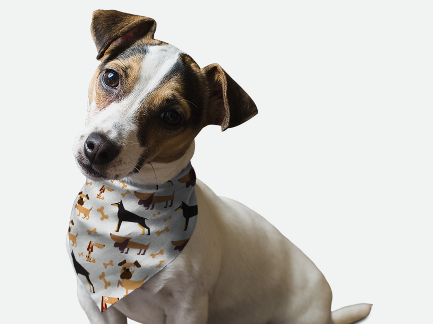 Bandoggies Guard Dog Dog Bandanas