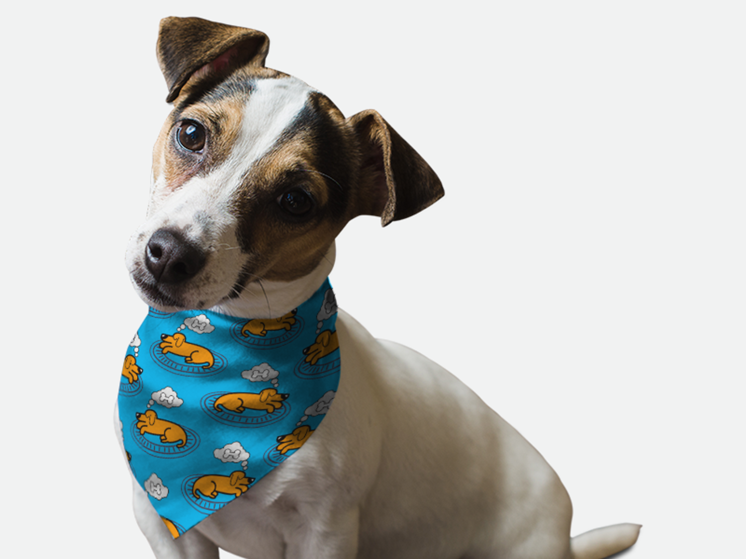 Bandoggies Nap Time Dog Bandanas