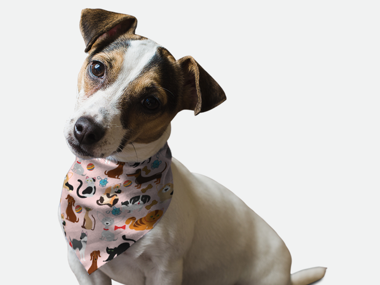 Bandoggies Play Time Dog Bandanas