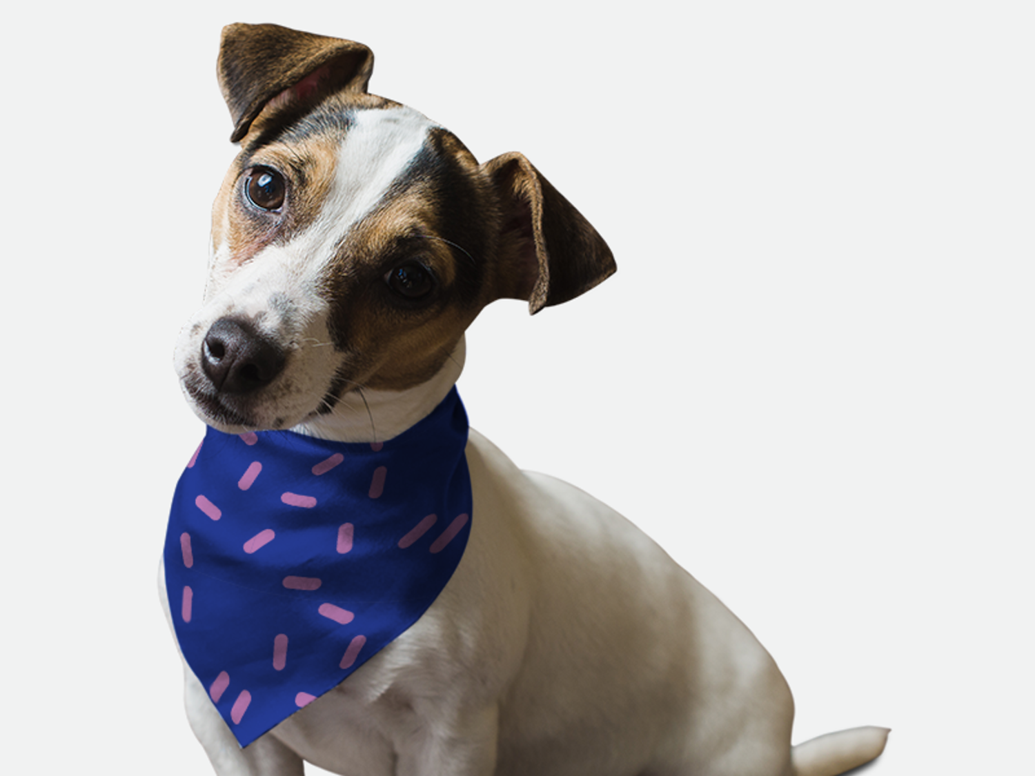 Bandoggies Sprinkles Please! Dog Bandanas