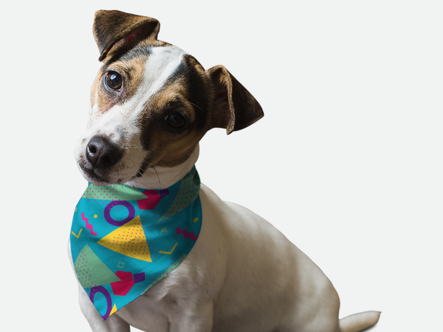 Bandoggies 1980's Retro Style Dog Bandanas