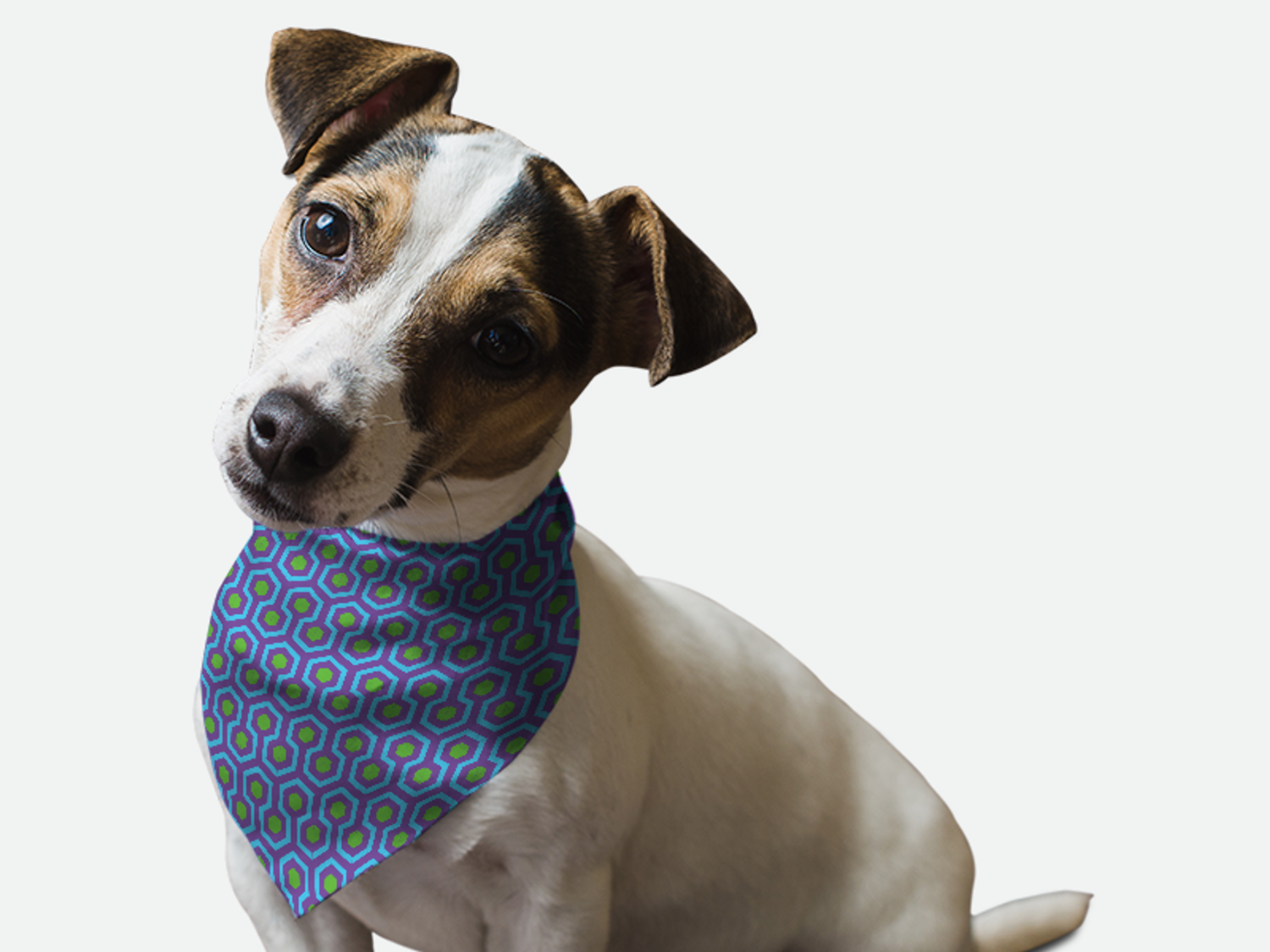 Bandoggies 1960's Retro Style Dog Bandanas