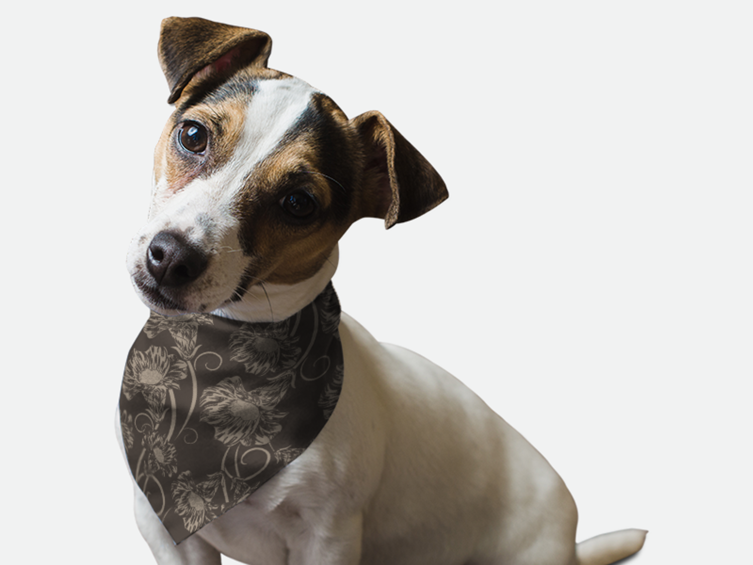 Bandoggies 1950's Retro Style Dog Bandanas
