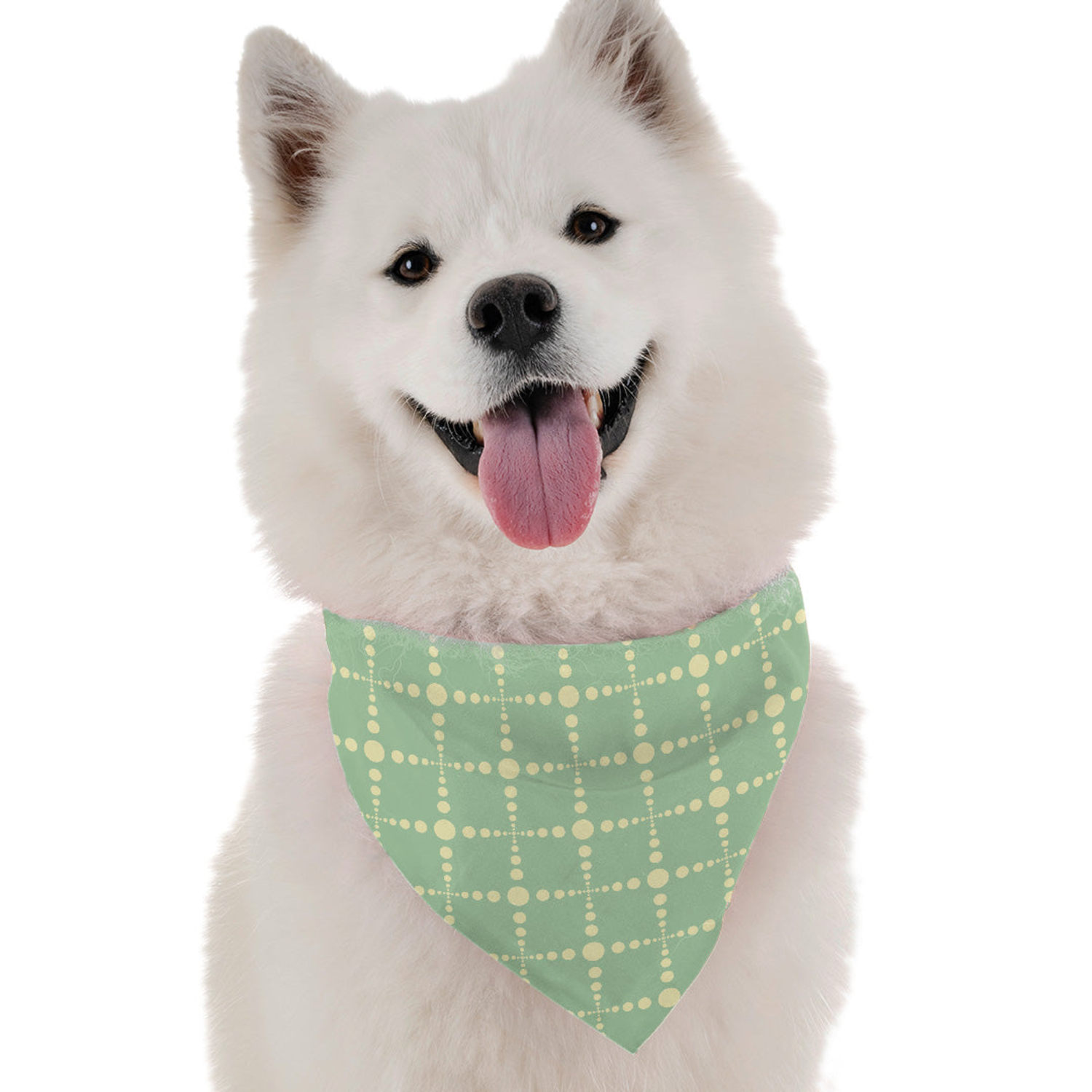 Bandoggies Iris Dog Bandanas