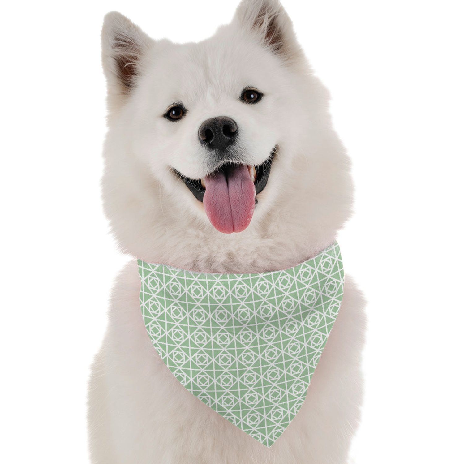 Bandoggies Savannah Dog Bandanas