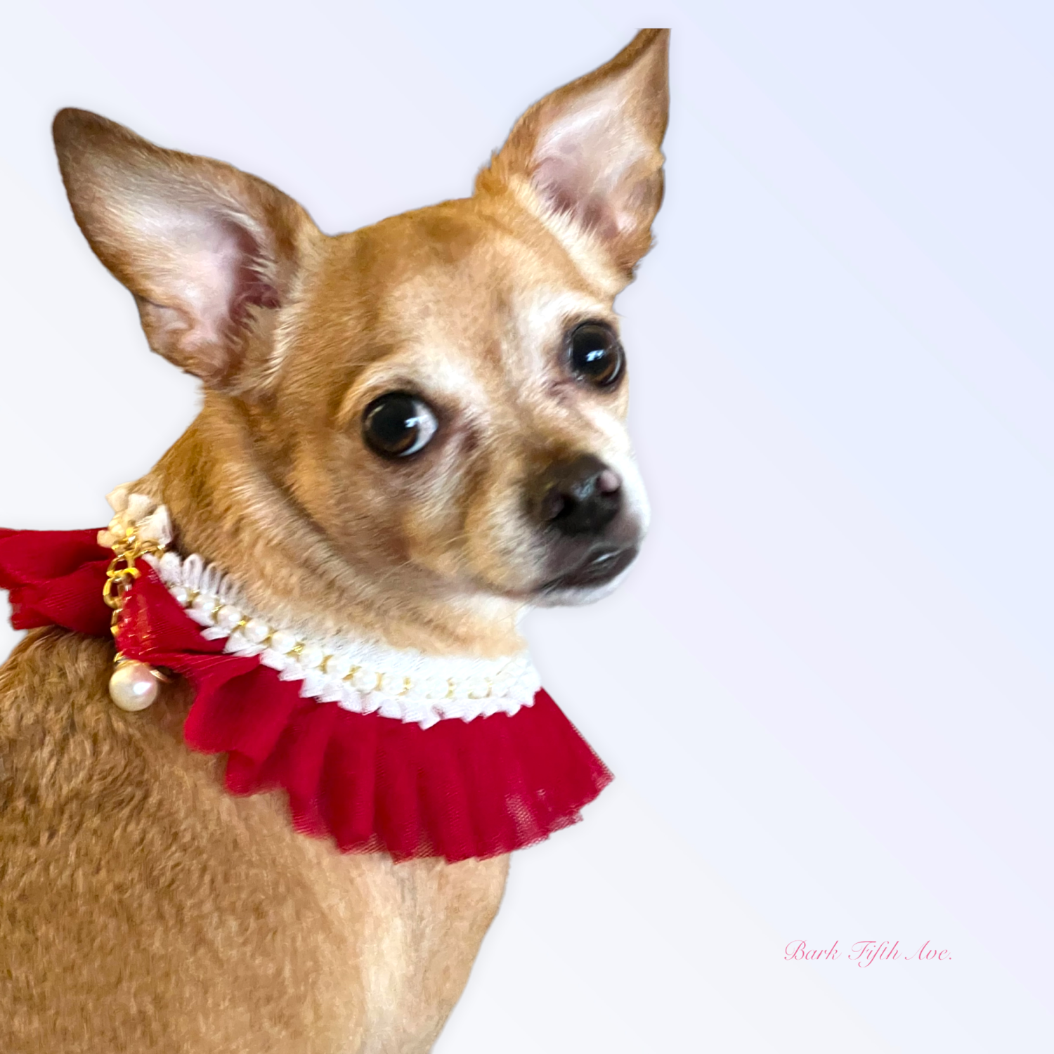 Bark Fifth Avenue Pearl Neck Ruff Dog Collars