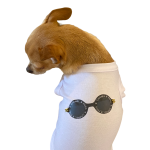 Bark Fifth Avenue Dog Clothes