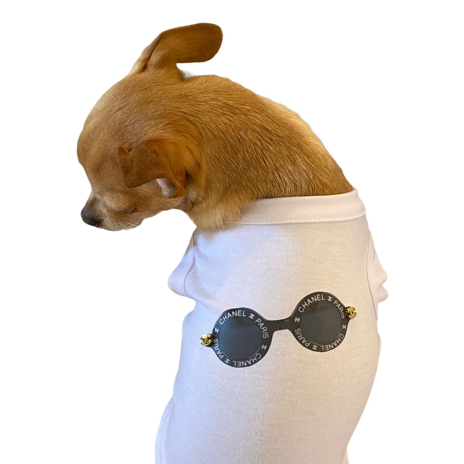 Bark Fifth Avenue My Summer CC Sunnies Dog Clothes