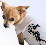 Bark Fifth Avenue Dog Clothes
