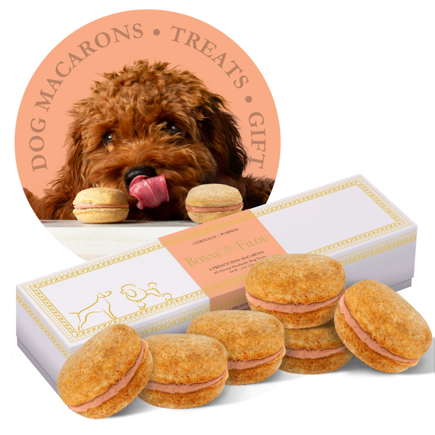 Bonne et Filou Dog Macarons - Box of 6 (Available in 12 Flavors) Dog Treats