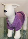 Coin 1804 Dog Clothes