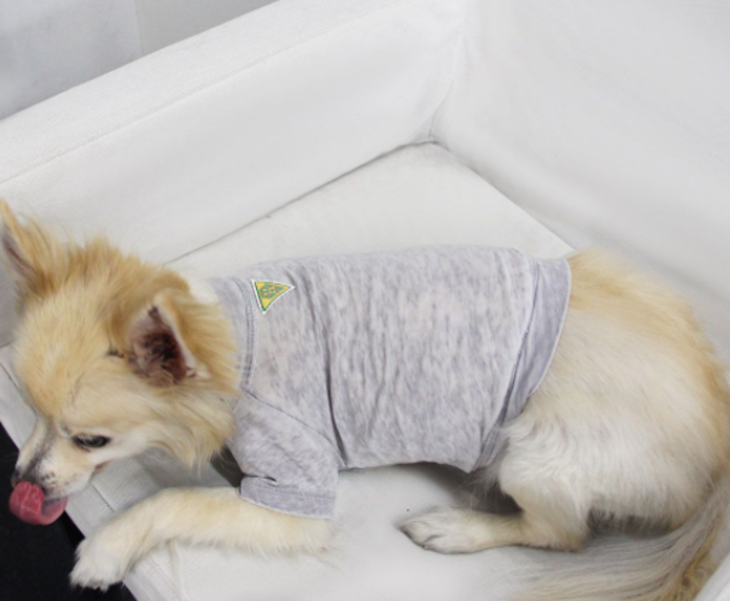 Coin 1804 Doggy Tee Dog Clothes
